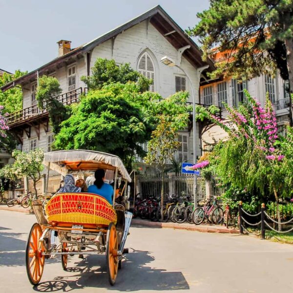 Vizesiz Turlarımızı Gördünüz mü?